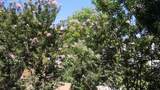 3776 Alabama Street - Photo 33
