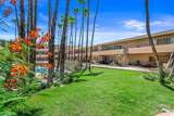 277 Alejo Road - Photo 41