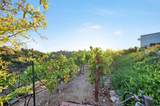3811 Hiawatha Way - Photo 40