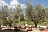 24172 Lupin Hill Road - Photo 8