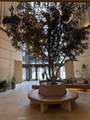 1100 Wilshire - Photo 4