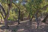 245 Calle De Los Agrinemsors - Photo 30
