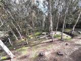 24851 Rollingwood Road - Photo 23