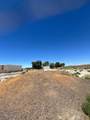 1055 Calle De Amistad - Photo 74