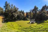 4620 Caritina - Photo 4