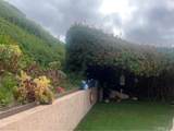 1025 Santa Queta - Photo 15
