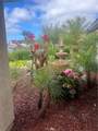 1025 Santa Queta - Photo 6