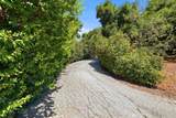 21264 Terry - Photo 7