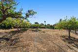 11081 Enchanto Vista Drive - Photo 4