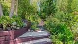 40462 Calle Medusa - Photo 43