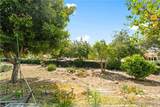 1400 Blossom - Photo 26