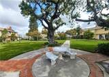 11820 Gloxinia - Photo 6