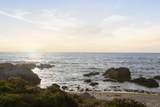 849 Marino Pines Road - Photo 42