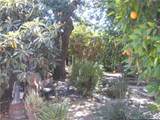 1615 Swanee Lane - Photo 31