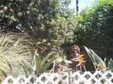 1615 Swanee Lane - Photo 32