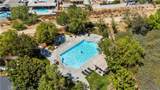 27703 Thalia Lane - Photo 46