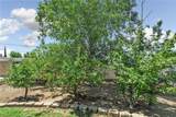 33475 Bodie Street - Photo 19