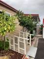 3340 Del Sol Blvd - Photo 2