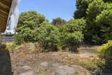 3955 Mount Albertine Way - Photo 41