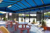 41563 Calle Pampas - Photo 42