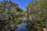 54 Robin Hood Place - Photo 35