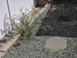 401 San Mateo Circle - Photo 49