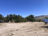 7479 Kickin Horse Trl - Photo 13
