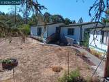 26540 Daphne Way - Photo 2