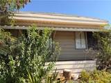 185 Eucalyptus - Photo 1