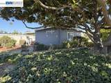 241 Jamaica Circle - Photo 43