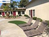 241 Jamaica Circle - Photo 48