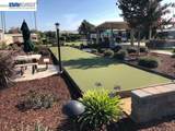241 Jamaica Circle - Photo 49