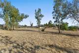 32305 Red Mountain - Photo 58