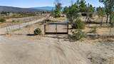32305 Red Mountain - Photo 7