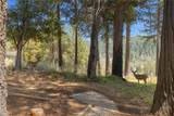 14808 Goldcone - Photo 19