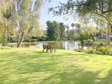 3471 Don Lorenzo Drive - Photo 14