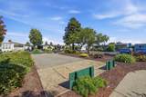 29262 Whalebone Way - Photo 35
