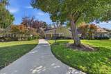 29262 Whalebone Way - Photo 39