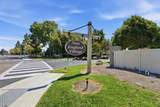 29262 Whalebone Way - Photo 40