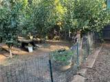 15044 Pinon - Photo 4