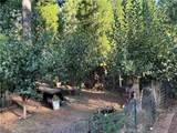 15044 Pinon - Photo 7