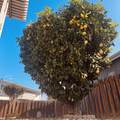 27250 Murrieta Road - Photo 1