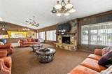 10770 Black Mountain Rd - Photo 34