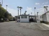 173 Coyote - Photo 2