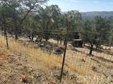 15569 Joseph Trail - Photo 4
