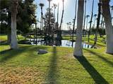 1255 Via Benicia - Photo 6