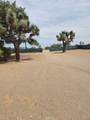 11131 Sycamore Street - Photo 4