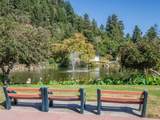552 Bean Creek Road - Photo 42