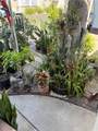 34052 Doheny Park - Photo 5