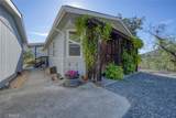 12431 Elk Mountain - Photo 11